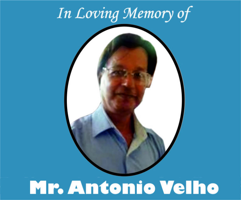 Velho