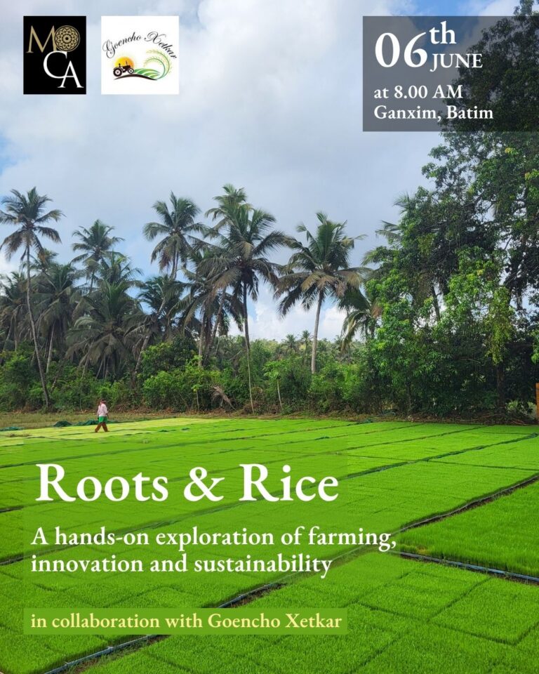Roots & Rice