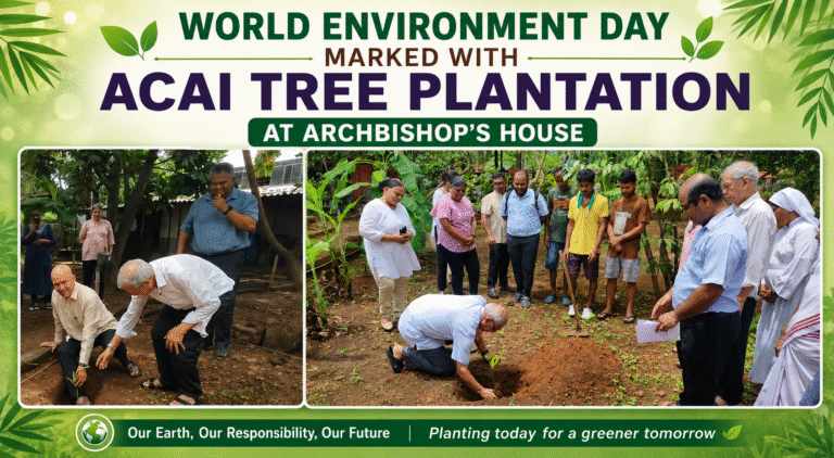 Tree Plantation